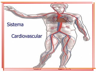 Sistema    Cardiovascular 