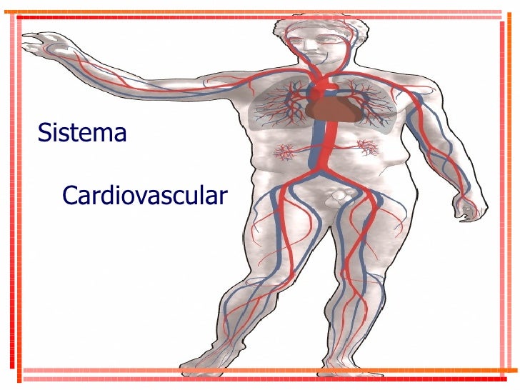 sistema cardio