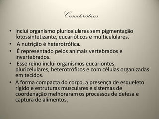 Característicasinclui organismo pluricelularessem pigmentação fotossintetizante, eucarióticos e multicelulares.A nutrição é heterotrófica.É representado pelos animais vertebrados e invertebrados.Esse reino inclui organismos eucariontes, pluricelulares, heterotróficos e com células organizadas em tecidos.A forma compacta do corpo, a presença de esqueleto rígido e estruturas musculares e sistemas de coordenação melhoraram os processos de defesa e captura de alimentos.