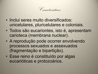 CaracterísticasInclui seres muito diversificados: unicelulares, pluricelulares e coloniais. Todos são eucariontes, isto é, apresentam carioteca (membrana nuclear).A reprodução pode ocorrer envolvendo processos sexuados e assexuados (fragmentação e bipartição). Esse reino é constituído por algas eucarióticas e protozoários. 