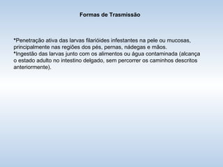 Formas de Trasmissão * Penetração ativa das larvas filarióides infestantes na pele ou mucosas, principalmente nas regiões dos pés, pernas, nádegas e mãos.  * Ingestão das larvas junto com os alimentos ou água contaminada (alcança o estado adulto no intestino delgado, sem percorrer os caminhos descritos anteriormente).  