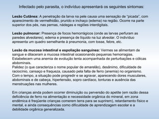 Infectado pelo parasita, o indivíduo apresentará os seguintes sintomas: Lesão Cutânea:  A penetração da larva na pele causa uma sensação de “picada”, com aparecimento de vermelhidão, prurido e inchaço (edema) na região. Ocorre na parte superior dos pés, nas pernas, nádegas e regiões interdigitais. Lesão pulmonar:  Presença de focos hemorrágicos (onde as larvas perfuram as paredes alveolares), edema e presença de líquido na luz alveolar. O indivíduo apresenta um quadro semelhante à pneumonia, com tosse, febre, etc. Lesão da mucosa intestinal e espoliação sanguínea:  Vermes se alimentam de sangue e dilaceram a mucosa intestinal ocasionando pequenas hemorragias. Estabelecem uma anemia de evolução lenta acompanhada de perturbações e cólicas abdominais. Palidez (o que caracteriza o nome popular de amarelão), desânimo, dificuldade de raciocínio, cansaço e fraqueza, causado pela falta de ferro (anemia) no organismo. Com o tempo, a situação pode progredir e se agravar, aparecendo dores musculares, abdominais e de cabeça, hipertensão, sopro cardíaco, tonturas e ausência das menstruações nas mulheres. Em crianças ainda podem ocorrer diminuição ou perversão do apetite (em razão dessa deficiência de ferro na alimentação e necessidade orgânica do mineral, em zona endêmica é freqüente crianças comerem terra para se suprirem), retardamento físico e mental, e ainda consequências como dificuldade de aprendizagem escolar e a debilidade orgânica generalizada. 