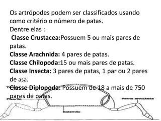 Os artrópodes podem ser classificados usando como critério o número de patas. Dentre elas : Classe Crustacea:Possuem 5 ou ...