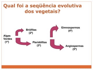 Qual foi a seqüência evolutiva dos vegetais? Algas Verdes (1º) Briófitas (2º) Pteridófitas (3º)   Gimnospermas (4º) Angiospermas (5º) 