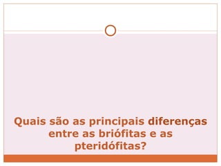 Quais são as principais  diferenças  entre as briófitas e as pteridófitas? 
