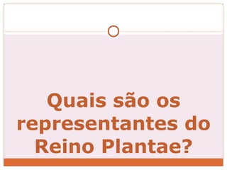 Quais são os representantes do Reino Plantae? 
