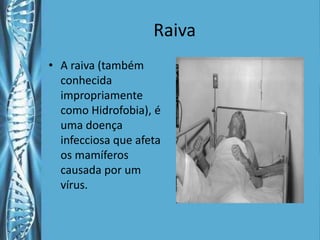 Raiva
• A raiva (também
  conhecida
  impropriamente
  como Hidrofobia), é
  uma doença
  infecciosa que afeta
  os mamíferos
  causada por um
  vírus.
 