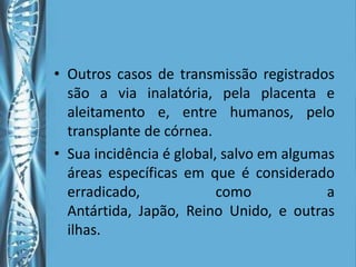 • Outros casos de transmissão registrados
  são a via inalatória, pela placenta e
  aleitamento e, entre humanos, pelo
  transplante de córnea.
• Sua incidência é global, salvo em algumas
  áreas específicas em que é considerado
  erradicado,             como            a
  Antártida, Japão, Reino Unido, e outras
  ilhas.
 