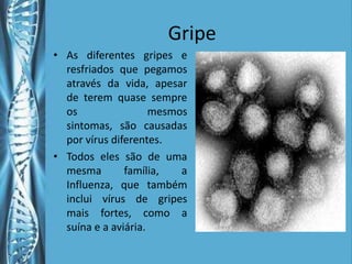 Gripe
• As diferentes gripes e
  resfriados que pegamos
  através da vida, apesar
  de terem quase sempre
  os                 mesmos
  sintomas, são causadas
  por vírus diferentes.
• Todos eles são de uma
  mesma        família,   a
  Influenza, que também
  inclui vírus de gripes
  mais fortes, como a
  suína e a aviária.
 