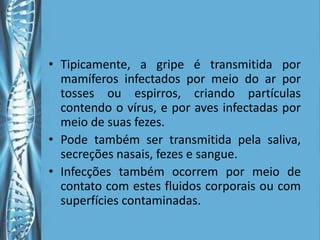 • Tipicamente, a gripe é transmitida por
  mamíferos infectados por meio do ar por
  tosses ou espirros, criando partículas
  contendo o vírus, e por aves infectadas por
  meio de suas fezes.
• Pode também ser transmitida pela saliva,
  secreções nasais, fezes e sangue.
• Infecções também ocorrem por meio de
  contato com estes fluidos corporais ou com
  superfícies contaminadas.
 