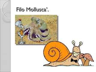 Filo Mollusca’.
 