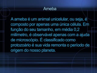 Ameba
A ameba é um animal unicelular, ou seja, é
composto por apenas uma única célula. Em
função do seu tamanho, em média 0,2
milímetro, é observável apenas com a ajuda
de microscópio. É classificado como
protozoário é sua vida remonta o período de
origem do nosso planeta.

 