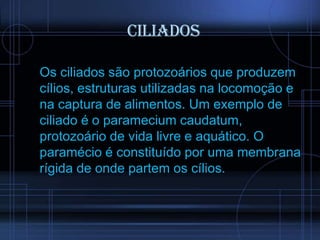 Ciliados
Os ciliados são protozoários que produzem
cílios, estruturas utilizadas na locomoção e
na captura de alimentos. Um exemplo de
ciliado é o paramecium caudatum,
protozoário de vida livre e aquático. O
paramécio é constituído por uma membrana
rígida de onde partem os cílios.

 