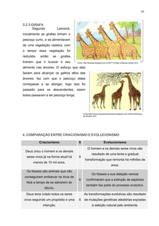 10

3.2.3 GIRAFA
Segundo

Lamarck,

inicialmente as girafas tinham o
pescoço curto, e se alimentavam
de uma vegetação rasteira, com
o tempo essa vegetação foi
reduzida,

então

as

girafas

tiveram que ir buscar o seu

Fonte: http://bioquiel.blogspot.com.br/2011/10/das-mutacoes-darwin.html

alimento nas árvores. O esforço que elas
faziam para alcançar os galhos altos das
árvores, fez com que o pescoço delas
começasse a se alongar, logo isso foi
passado para os descendentes, assim
todos passaram a ter pescoço longo.

Fonte:http://evolucaoespeciesmarinhas.blogspot.com.br/2010/03/teoriade-lamarck.html

4. COMPARAÇÃO ENTRE CRIACIONISMO E EVOLUCIONISMO
Criacionismo

X

O homem e os demais seres vivos são

Deus criou o homem e os demais
seres vivos já na forma atual há

X

menos de 10 mil anos.

Noé a tempo de se salvarem do

X

confirmaram que a extinção de espécies
também faz parte do processo evolutivo.

Deus teria criado todos os seres

intenção.

transformação que remonta há milhões de

Os fósseis e sua datação remota

dilúvio.

vivos seguindo um propósito e uma

resultado de uma lenta e gradual

anos.

Os fósseis são animais que não
conseguiram embarcar na Arca de

Evolucionismo

As transformações evolutivas são resultado
X

de mutações genéticas aleatórias expostas
à seleção natural pelo ambiente.

 
