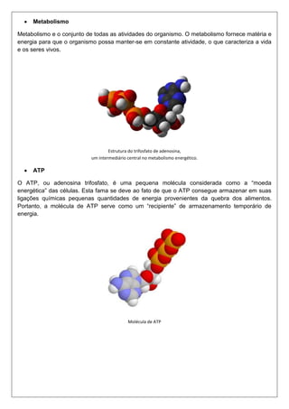 Metabolismo
Metabolismo e o conjunto de todas as atividades do organismo. O metabolismo fornece matéria e
energia para que o organismo possa manter-se em constante atividade, o que caracteriza a vida
e os seres vivos.

Estrutura do trifosfato de adenosina,
um intermediário central no metabolismo energético.

ATP
O ATP, ou adenosina trifosfato, é uma pequena molécula considerada como a “moeda
energética” das células. Esta fama se deve ao fato de que o ATP consegue armazenar em suas
ligações químicas pequenas quantidades de energia provenientes da quebra dos alimentos.
Portanto, a molécula de ATP serve como um “recipiente” de armazenamento temporário de
energia.

Molécula de ATP

 