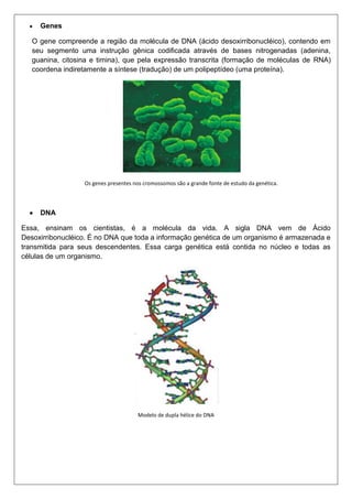 Genes
O gene compreende a região da molécula de DNA (ácido desoxirribonucléico), contendo em
seu segmento uma instrução gênica codificada através de bases nitrogenadas (adenina,
guanina, citosina e timina), que pela expressão transcrita (formação de moléculas de RNA)
coordena indiretamente a síntese (tradução) de um polipeptídeo (uma proteína).

Os genes presentes nos cromossomos são a grande fonte de estudo da genética.

DNA
Essa, ensinam os cientistas, é a molécula da vida. A sigla DNA vem de Ácido
Desoxirribonucléico. É no DNA que toda a informação genética de um organismo é armazenada e
transmitida para seus descendentes. Essa carga genética está contida no núcleo e todas as
células de um organismo.

Modelo de dupla hélice do DNA

 