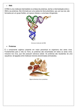 RNA
O RNA é uma molécula intermediária na síntese de proteínas, ela faz a intermediação entre o
DNA e as proteínas. Ele é formado por uma cadeia de ribonucleotídeos, que, por sua vez, são
formados por um grupo fosfato, um açúcar (ribose), e uma base nitrogenada.

Estrutura molecular de RNA

Proteínas
É o componente orgânico presente em maior percentual no organismo dos seres vivos.
Fundamentais para a vida na Terra, as proteínas são encontradas em todos os seres vivos,
inclusive nos vírus, que não possuem estrutura celular. As proteínas são resultantes de uma
sequência de ligações entre molécula menores denominadas aminoácidos.

Alguns alimentos ricos e proteínas

 