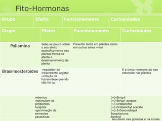 Fito-Hormonas
Grupo Efeito Funcionamento Curiosidades
A
u
x
i
n
a
s
1-Alongamento
diferencial de
células
-Regulador do
crescimento
-Produção de
gemas apicais e
laterais
2-Criação do apice
radicular, frutos e
folhas jovens
-Produção de frutos
paterno-
cárficos(sem
sementes), raízes
secundárias
-Papel na abertura
dos estomas.
-Produção
extremamente
rápida de raízes
3-Herbicida
1-
As auxinas movem-se para o lado
contrário da luz, provocando um
alongamento das células que estão à
sombra provocando que a planta vire-se
para o sol. Este efeito chama-se de
Fototropismo.
2-Substituindo o polen, desencadeia a
formação do fruto e como não foi
polenizado não produz sementes.
3-Faz descontrolar a divisão celular até
que a planta fica sem proteinas e morre.
-As auxinas podem influenciar a
produção doutras hormonas como
o etileno.
-O ápice ao produzir auxinas, inibe
o seu desenvolvimento. A poda ao
cortar os ápices faz com que as
gemas laterais sem o processo
inibidor do AIA, despertam e
transformam-se em ramos, folhas
ou flores.
-O AIB, ANA, 2,4-D são mais
utilizado na agricultura do que o
AIA que é a hormona comum à
maioria das plantas. Porque ao
serem sintéticos a planta não tem
forma de quebrar as ligações
quimicas da hormona com as suas
enzimas, enquanto tem métodos
para quebrar o AIA.
-2,4-D era um dos componentes
do Agente Laranja que matou
milhares de pessoas, por causa do
seu efeito nas gónadas e na tiroide
Grupo Efeito Funcionamento Curiosidades
E
T
I
L
E
N
O
-Acelerador do
amadurecimento de
frutos
-Ajuda as folhas a
cair no
Outono(enfraquecen
do as células)
Ele amadurece a fruta desencadeando 3
efeitos:
-oxidação de lípidos: rompe as fibras
tornando o fruto macio
-quebra do amido: quebrando o amido
em açúcares simples e por isso
tornando-o doce
-quebra da clorofila: quebrando a
clorofila, o fruto perde a cor verde e o
fruto passa a mostrar os outros
pigmentos
C
I
T
O
S
I
N
A
S
- inicia o processo de
diferenciação das
células
-formação de
clorofilas
-ao contrário das
auxinas, inibe a
produção de raízes
laterais/secundárias
- defesa imunológica
da planta
Em diferente concentrações em relação
às auxinas produzem orgão diferentes.
Caso:
Cinetina > auxina = formação de
gemas
Cinetina = auxina = formação de callus
Cinetina < auxina = formação de
raízes
Existe uma citosina que é produzida
por certas bactérias que só tem
efeitos em plantas – a Ribo-
zilzeatina
É uma hormona que mantém
durante mais tempo a cor verde e
as proteínas das plantas
Grupo Efeito Funcionamento Curiosidades
G
I
B
E
R
E
L
I
N
A
S
-inicia e acelera a
germinação
-estimula o
alongamento e a
divisão celular
-promove a
floração e a
maturação dos
frutos
A produção de giberelinas é
determinado pelo periodo de
luz.
Não existe em plantas-anãs.
Existem cerca de 120.
Sendo a mais activa conhecida
como Ácido Giberélico
O seu nome deriva do nome
cientifico da planta Gibberella
fujikuroi, onde foi pela 1º vez
extraída
Á
C
I
D
O
A
B
S
I
C
I
C
O
-Inibidor de
germinação
-fecho dos
estomas e
diminuição da
respiração
É sintetizado nos plastos,
especialmente nos cloroplastos.
É especialmente produzido quando
há um stress hidrico (ou seja
quando há demasiada ou pouca
água).
Forma-se através da degradação
dos carotenoídes
Estrigolactona
-inibição da
ramificação de
rebentos
-estimulam os
simbiontes
fungicos
-germinação de
sementes
parasíticas
São derivadas dos carotenoídes.
As mais conhecidas:
(+)-Strigol
(+)-Strigyl acetate
(+)-Orobanchol
(+)-Orobanchyl acetate
(+)-5-Desoxistrigol
Sorgolactona
Alectrol
Grupo Efeito Funcionamento Curiosidades
Poliamina
Sabe-se pouco sobre
o seu efeito
especificamente nas
plantas.Pensa-se
afecta o
desenvolvimento da
planta
Presente tanto em plantas como
em outros seres vivos
Brasinoesteroides
-regulador de
crescimento vegetal
-inibição da
fotossintese quando
não há luz
É a única hormona do tipo
esteroide nas plantas
 