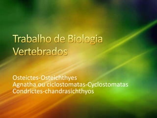 Osteictes-Osteichthyes
Agnatha ou ciclostomatas-Cyclostomatas
Condrictes-chandrasichthyos
 