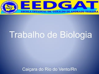Trabalho de Biologia
Caiçara do Rio do Vento/Rn
 