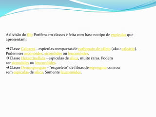 A divisão do filo Porifera em classes é feita com base no tipo de espículas que
apresentam:
Classe Calcarea - espículas compactas de carbonato de cálcio (aka.: calcário).
Podem ser asconóides, siconóides ou leuconóides.
Classe Hexactinellida - espículas de sílica, muito raras. Podem
ser siconóides ou leuconóides.
Classe Demospongiae - "esqueleto" de fibras de espongina com ou
sem espículas de sílica. Somente leuconóides.
 