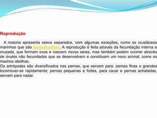 Reprodução
A maioria apresenta sexos separados, com algumas exceções, como os crustáceos
marinhos que são hermafroditas. A reprodução é feita através da fecundação interna e
cruzada, que formam ovos e nascem novos seres, mas também podem ocorrer através
de óvulos não fecundados que se desenvolvem e constituem um novo animal, como os
machos abelhas.
Os artrópodes são diversificados nas pernas, que servem para: pernas finas e grandes
locomover-se rapidamente; pernas pequenas e fortes, para cavar e pernas achatadas,
servem para nadar.
 