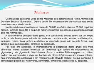 Moluscos
Os moluscos são seres vivos do filo Mollusca que pertencem ao Reino Animal e ao
Domínio Eukaria (Eucariotas). Dentro deste filo, encontram-se oito classes que serão
mencionadas posteriormente.
No filo Mollusca encontram-se cerca de 50.000 espécies vivas e 35.000 espécies
fósseis, fazendo deste filo o segundo maior em número de espécies (precedido apenas
pelo filo Arthropoda).
A característica principal deste grupo é a constituição destes seres por um corpo
mole, e dele fazem parte animais tão variados como caracóis, lesmas, nudibrânquios,
amêijoas, ostras, lulas, polvos e náutilus. A variedade passa não só pela forma, mas
também pela complexidade, tamanho ou coloração.
Por falar em variedade, é impressionante a adaptação deste grupo aos mais
diferentes meios: existem moluscos de tamanhos que variam do microscópico ao
gigante (e.g. lula gigante Architeuthis com 18m ou a amêijoa Tridacna gigas com, 1,5m);
podem ser encontrados a viver em habitats de climas trópicos até aos mares polares,
nas profundidades oceânicas e em montanhas de elevada altitude; ao que concerne à
alimentação podem ser herbívoros, carnívoros, filtradores, detritívoros ou parasitas.
 