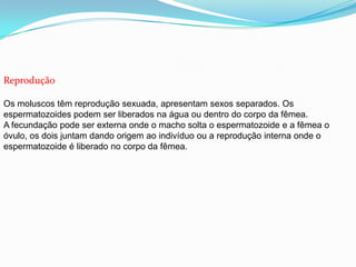 Reprodução
Os moluscos têm reprodução sexuada, apresentam sexos separados. Os
espermatozoides podem ser liberados na água ou dentro do corpo da fêmea.
A fecundação pode ser externa onde o macho solta o espermatozoide e a fêmea o
óvulo, os dois juntam dando origem ao indivíduo ou a reprodução interna onde o
espermatozoide é liberado no corpo da fêmea.
 