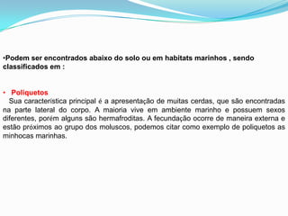 •Podem ser encontrados abaixo do solo ou em habitats marinhos , sendo
classificados em :
• Poliquetos
Sua característica principal é a apresentação de muitas cerdas, que são encontradas
na parte lateral do corpo. A maioria vive em ambiente marinho e possuem sexos
diferentes, porém alguns são hermafroditas. A fecundação ocorre de maneira externa e
estão próximos ao grupo dos moluscos, podemos citar como exemplo de poliquetos as
minhocas marinhas.
 