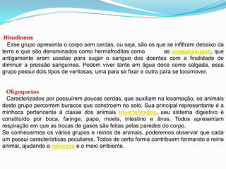Hirudíneos
Esse grupo apresenta o corpo sem cerdas, ou seja, são os que se infiltram debaixo da
terra e que são denominados como hermafroditas como as sanguessugas, que
antigamente eram usadas para sugar o sangue dos doentes com a finalidade de
diminuir a pressão sanguínea. Podem viver tanto em água doce como salgada, esse
grupo possui dois tipos de ventosas, uma para se fixar e outra para se locomover.
Oligoquetos
Caracterizados por possuírem poucas cerdas, que auxiliam na locomoção, os animais
deste grupo percorrem buracos que constroem no solo. Sua principal representante é a
minhoca pertencente à classe dos animais invertebrados, seu sistema digestivo é
constituído por boca, faringe, papo, moela, intestino e ânus. Todos apresentam
respiração em que as trocas de gases são feitas pelas paredes do corpo.
Se conhecermos os vários grupos e reinos de animais, poderemos observar que cada
um possui características peculiares. Todos de certa forma contribuem formando o reino
animal, ajudando a natureza e o meio ambiente.
 