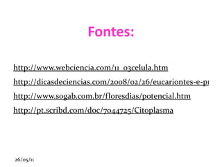 OS COMPONENTES DO NÚCLEO O núcleo das célula que não estão em processo de divisão apresenta um limite bem definido, devido à presença da  carioteca ou membrana nuclear , visível apenas ao microscópio eletrônico. A maior parte do volume nuclear é ocupada por uma massa filamentosa denominada  cromatina . Existem ainda um ou mais corpos densos ( nucléolos ) e um líquido viscoso ( cariolinfa ou nucleoplasma ). 