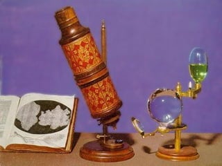 O HISTÓRICO DA DESCOBERTA DAS CÉLULAS. Na mesma época da criação do microscópio , foram descobertas as células, pelo cientista inglês Robert Hooke.  Através de um microscópio bastante rudimentar, iluminado a vela, observou que a “casca” das árvores era formada por numerosos compartimentos  vazios , que denominou células. A cortiça observada por ele , era na verdade , um tecido vegetal morto, constituído por células em que o espaço interno é ocupado pelo ar , ou seja , foi apenas um “esqueleto” de células mortas.   Cortiça : “casca” das árvores; 