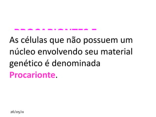 as células surgem sempre de outras células. 