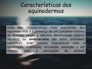 Características dos
equinodermos
Uma das características mais marcantes dos
equinodermos é a presença de um complexo sistema
de lâminas, canais e válvulas, denominado sistema
aquífero ou ambulacrário (do latim ambulare:
caminhar). Este sistema relaciona-se com a
locomoção, respiração, circulação, excreção e até
mesmo com a percepção do animal.
 