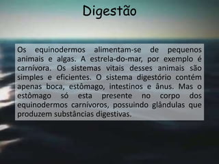Digestão
Os equinodermos alimentam-se de pequenos
animais e algas. A estrela-do-mar, por exemplo é
carnívora. Os sistemas vitais desses animais são
simples e eficientes. O sistema digestório contém
apenas boca, estômago, intestinos e ânus. Mas o
estômago só esta presente no corpo dos
equinodermos carnívoros, possuindo glândulas que
produzem substâncias digestivas.
 