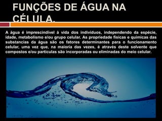 FUNÇÕES DE ÁGUA NA
CÉLULA.
A água é imprescindível à vida dos indivíduos, independendo da espécie,
idade, metabolismo e/ou grupo celular. As propriedade físicas e químicas das
substancias da água são os fatores determinantes para o funcionamento
celular, uma vez que, na maioria das vezes, é através deste solvente que
compostos e/ou partículas são incorporadas ou eliminadas do meio celular.
 
