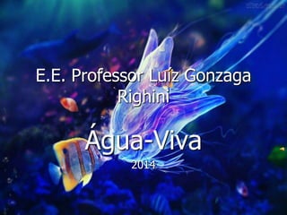 E.E. Professor Luíz Gonzaga
Righini
Água-Viva
2014
 