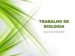 TRABALHO DE
BIOLOGIA
CICLO DO FÓSFORO
 