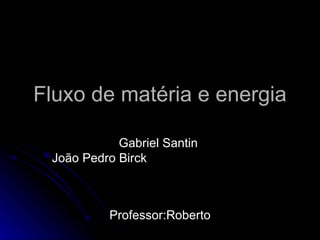 Fluxo de matéria e energia Gabriel Santin  João Pedro Birck  Professor:Roberto 