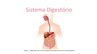 Sistema Digestório
Imagem 1 – Fonte: https://www.coc.com.br/blog/soualuno/biologia/como-funciona-o-sistema-digestorio
 