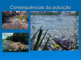 Consequências da poluição 