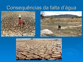 Consequências da falta d’água 
