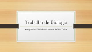 Trabalho de Biologia
Componentes: Maria Laura, Mariana, Rafael e Vitória
 