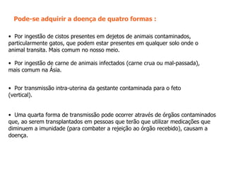 Pode-se adquirir a doença de quatro formas : Por ingestão de cistos presentes em dejetos de animais contaminados, particularmente gatos, que podem estar presentes em qualquer solo onde o animal transita. Mais comum no nosso meio.  Por ingestão de carne de animais infectados (carne crua ou mal-passada), mais comum na Ásia.  Por transmissão intra-uterina da gestante contaminada para o feto (vertical).  Uma quarta forma de transmissão pode ocorrer através de órgãos contaminados que, ao serem transplantados em pessoas que terão que utilizar medicações que diminuem a imunidade (para combater a rejeição ao órgão recebido), causam a doença.  