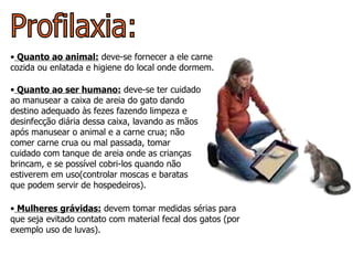 Profilaxia: Quanto ao animal:  deve-se fornecer a ele carne cozida ou enlatada e higiene do local onde dormem.  Quanto ao ser humano:  deve-se ter cuidado ao manusear a caixa de areia do gato dando destino adequado às fezes fazendo limpeza e desinfecção diária dessa caixa, lavando as mãos após manusear o animal e a carne crua; não comer carne crua ou mal passada, tomar cuidado com tanque de areia onde as crianças brincam, e se possível cobri-los quando não estiverem em uso(controlar moscas e baratas que podem servir de hospedeiros). Mulheres grávidas:  devem tomar medidas sérias para que seja evitado contato com material fecal dos gatos (por exemplo uso de luvas). 