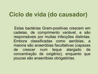 Ciclo de vida (do causador) Estas bactérias Gram-positivas crescem em cadeias, de comprimento variável, e são responsáveis por muitas infecções distintas. Embora classificadas como aeróbias, a maioria são anaeróbias facultativas (capazes de crescer num leque alargado de concentração de oxigênio), enquanto que poucas são anaeróbias obrigatórias. 