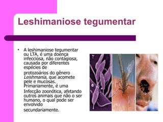 Leshimaniose tegumentar A leshimaniose tegumentar ou LTA, é uma doença infecciosa, não contagiosa, causada por diferentes espécies de protozoários do gênero  Leishmania , que acomete pele e mucosas. Primariamente, é uma Infecção zoonótica, afetando outros animais que não o ser humano, o qual pode ser envolvido secundariamente. 