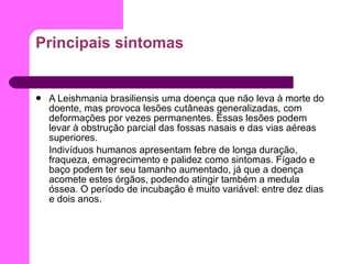 Principais sintomas A Leishmania brasiliensis uma doença que não leva à morte do doente, mas provoca lesões cutâneas generalizadas, com deformações por vezes permanentes. Essas lesões podem levar à obstrução parcial das fossas nasais e das vias aéreas superiores. Indivíduos humanos apresentam febre de longa duração, fraqueza, emagrecimento e palidez como sintomas. Fígado e baço podem ter seu tamanho aumentado, já que a doença acomete estes órgãos, podendo atingir também a medula óssea. O período de incubação é muito variável: entre dez dias e dois anos.  