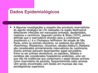 Dados Epidemiológicos A Algumas investigações a respeito dos prováveis reservatórios do agente etiológico da LTA realizadas na região Neotropical detectaram infecções em marsupiais primatas, desdentados, roedores e carnívoros. Segundo Lainson & Shaw (1974), parece definido que o reservatório silvestre para a  Leishmania braziliensis s.l.  é o  Choloepus hoffmanni . No estado de São Paulo, entre os animais silvestres, os roedores dos gêneros  Proechimys ,  Rhipidomys ,  Oryzomys ,  Akodon,Rattus  e  Didelphis  são considerados primariamente reservatórios da  Leishmania . Outros animais parecem desempenhar papel secundário.  Entre os em animais domésticos, os eqüideos, felídeos e canídeos são considerados hospedeiros acidentais, uma vez que não há evidências que comprovem o papel desses animais como reservatório do parasito, freqüentemente estes animais vêm sendo encontrados com lesões em mucosas das vias aerodigestivas superiores.  