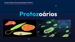 Protozoários
Grupo:Pedro,Fernanda,Rafael,Telmiro
 